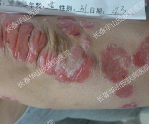 ������Ц���绨����