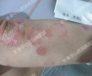 ������Ц���绨����